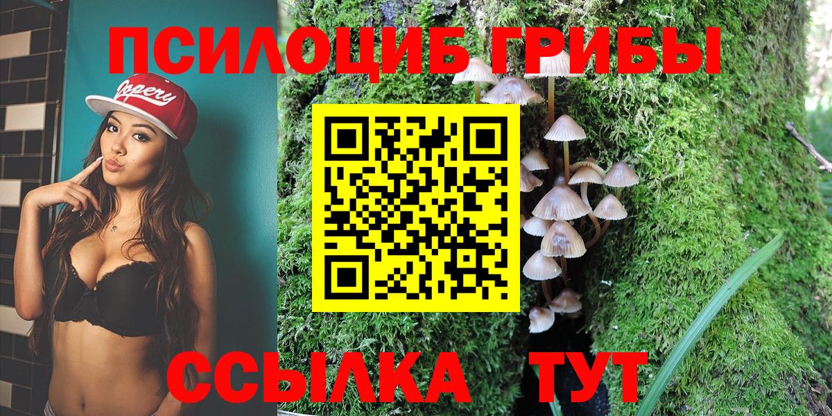 Боровичи  Галлюциногенные грибы Psilocybe  Вход с VPN  Псилоцибиновые грибы Psilocybine cubensis 
